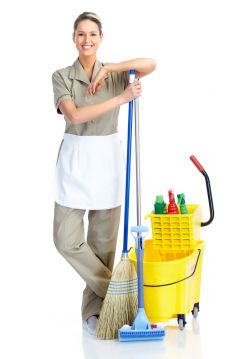 SW5 Furniture Cleaners SW10